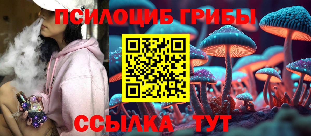 Полевской  Псилоцибиновые грибы прущие грибы  Вход с VPN 