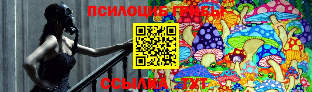 Галлюциногенные грибы Psilocybine cubensis Полевской